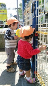 13043214_1033479313391426_5403047353877991464_n - コピー